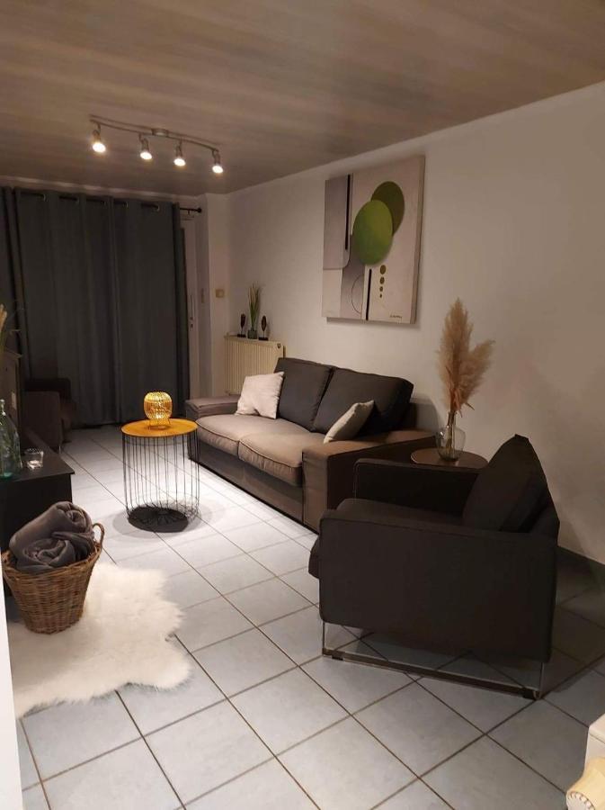 Appartement Rdc Plein Centre Avec Terrasse Visé Kültér fotó